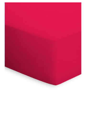 Bassetti Spannbettlaken in rosso