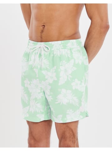 Threadbare Badehose THB Swim Short Sunset in Grün