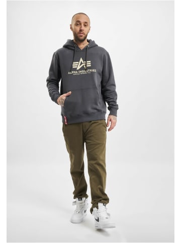 Alpha Industries Alpha Industries Kapuzenpullover in grey