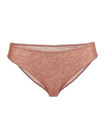 JOOP! Slip Sheer in OPEN PURPLE