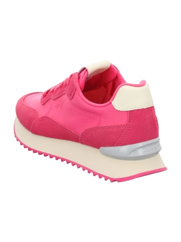 Gant Sneaker Low in Rot
