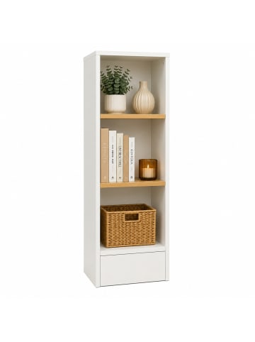 VCM Bücherregal Dilos 114 x 52 cm für Aktenordner in Weiß / Honig-Eiche