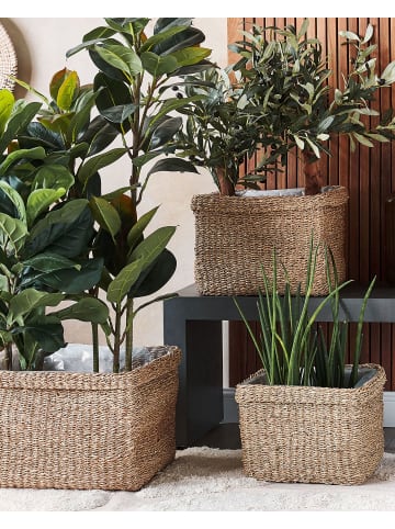 Beliani 3-tlg Indoor Blumentopf RIVULINE in Braun