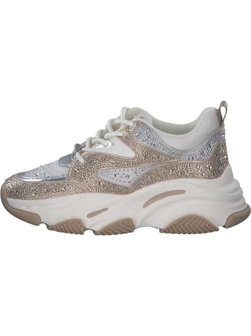 Steve Madden Schnürschuhe in SILVER/GOLD CREAM