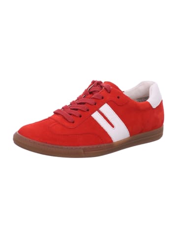 Paul Green Sneaker in rot