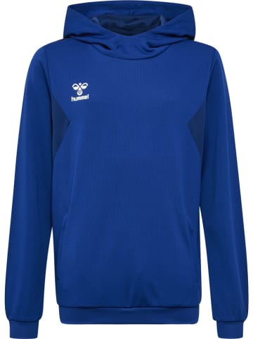Hummel Kinder Hoodie "Hmlauthentic Pl Hoodie Kids" in Blau