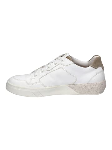 Josef Seibel Sneaker Fred in weiss-beige