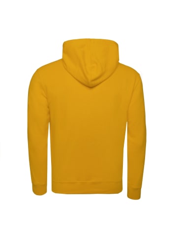 Champion Kapuzenpullover Hooded in gelb