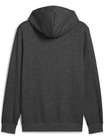 Puma Hoodie "ESS No.1 Logo Hoodie FL" in Grau