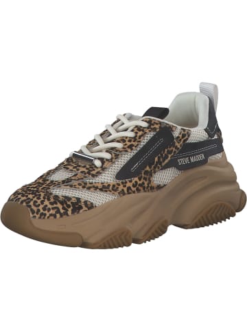 Steve Madden Schnürschuhe in leopard multi