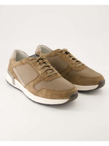 Pius Gabor Sneaker in Beige