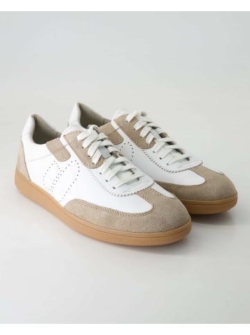 Pius Gabor Sneaker low in Beige