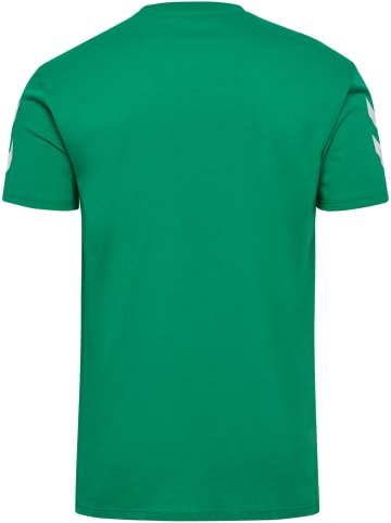 Hummel T-Shirt Hmlgo Herren in JELLY BEAN