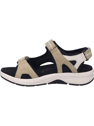 Josef Seibel Sandale Estelle 02 in beige