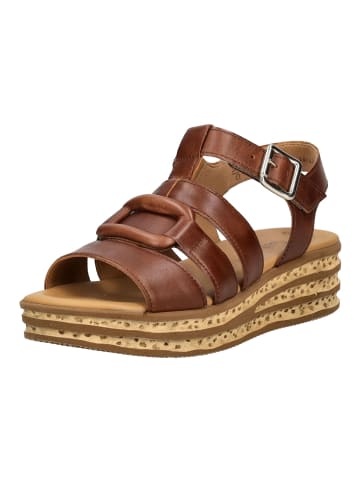 Gabor Sandalen in Camel