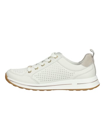 ara Sneaker in Cream