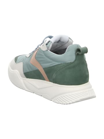 Voile Blanche Sneaker Low in Grün