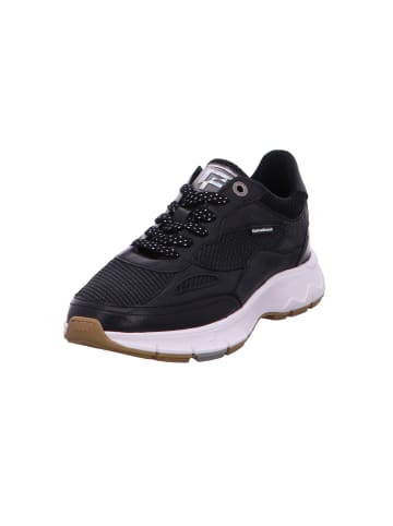 Floris van Bommel Schnürschuh in schwarz