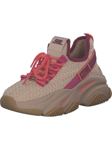 Steve Madden Schnürschuhe in BLUSH/CORAL MULTI