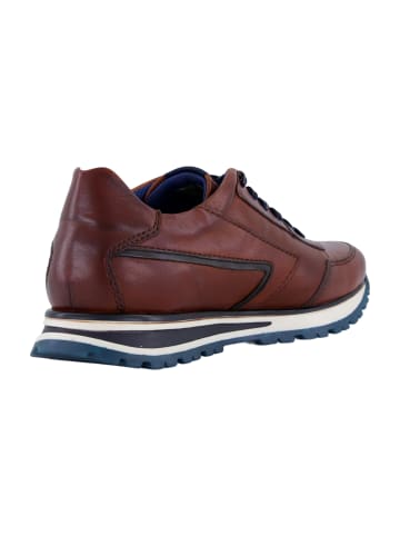 Bugatti Sportliche Schnürschuhe in Braun