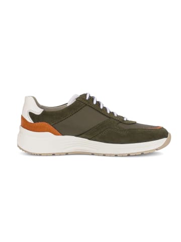Gabor Sneaker low in grün
