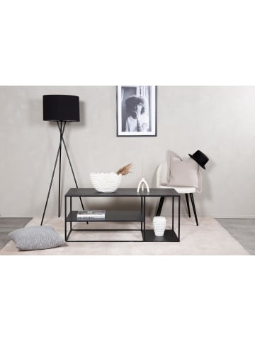 ebuy24 Couchtisch Staal Schwarz 50 x 120 cm