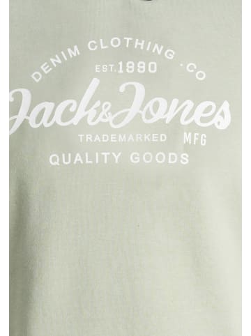 JACK & JONES Junior Hoodie 'Forest' in grau