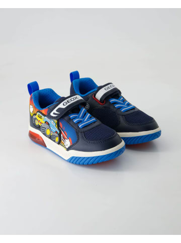 Geox Klettschuhe in Blau