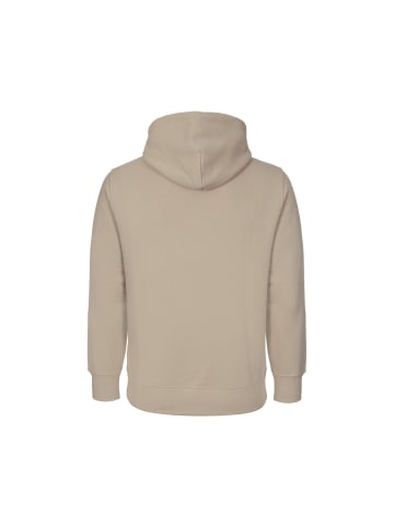 Gant Kapuzenpullover Reg Shield in hellbraun