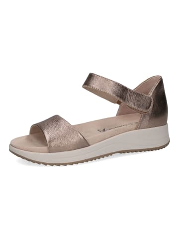 Caprice Sandalen in Taupe