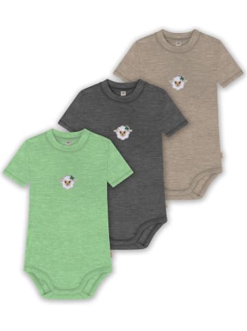 Normani Outdoor Sports 3er Set Bio Baby Body Kurzarm aus Merinowolle für Junge und Mädchen in Beige/Anthrazit/Grün