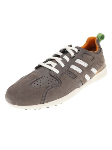 Geox Sneaker Low in Braun