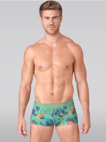 Muchachomalo 2er-Set: Boxershort in Mehrfarbig - für Herren