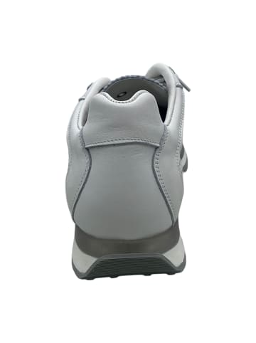 Cetti Sneaker Low in Weiß