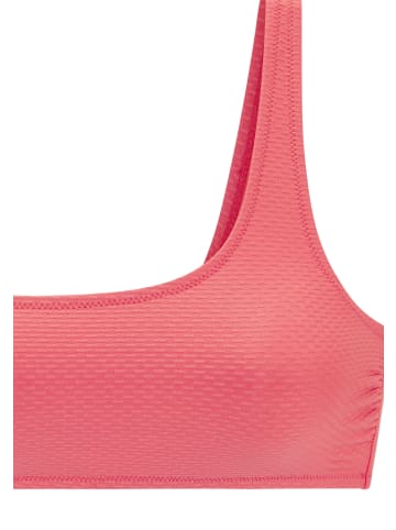 Bruno Banani Bustier-Bikini-Top in pfirsich