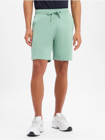 Nils Sundström Shorts in lind