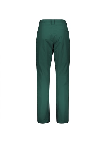 SCOTT Hose M ULTIMATE DRYO 10 PANTS in Grün