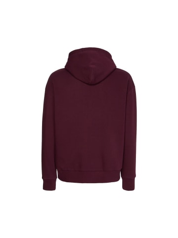 Calvin Klein Sweatshirt in passion plum