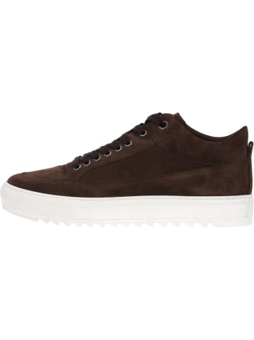 palado Sportliche Halbschuhe in dk brown