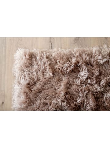 ebuy24 Teppich Grace Beige 300 x 300 cm