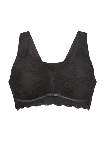 Anita Bralette Essential Lace in Anthrazit