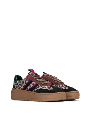POELMAN Poelman ANEMONE Damen Sneaker
