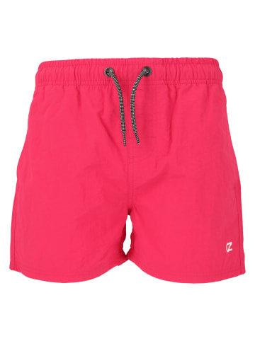 Cruz Badeshorts Eyemouth in 4306 Barberry