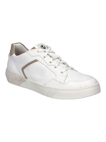 Josef Seibel Sneaker Fred in weiss-beige