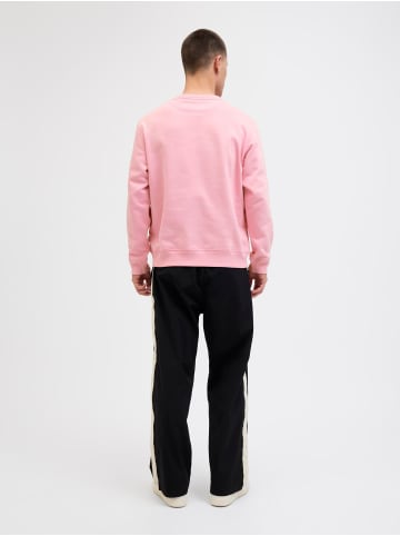 Jack & Jones Sweatshirt in Prism Pink