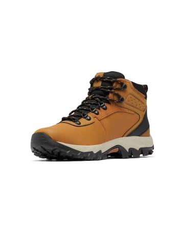 Columbia Sneakers High NEWTON RIDGE PLUS II WATERPROOF in braun