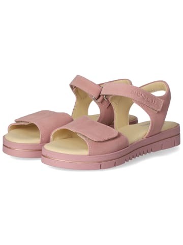 Däumling Sandalen in Rosa