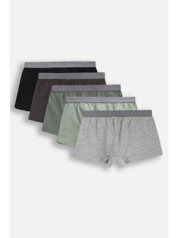 MOKIDA Jungenunterhosen in bunt