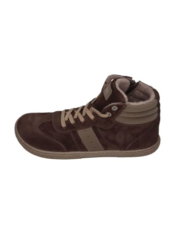 KOEL Sneaker High DREW FELT in braun