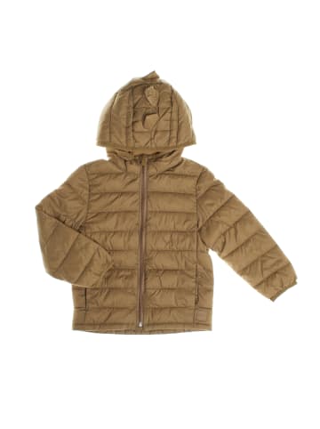 GAP Übergangsjacke in Green